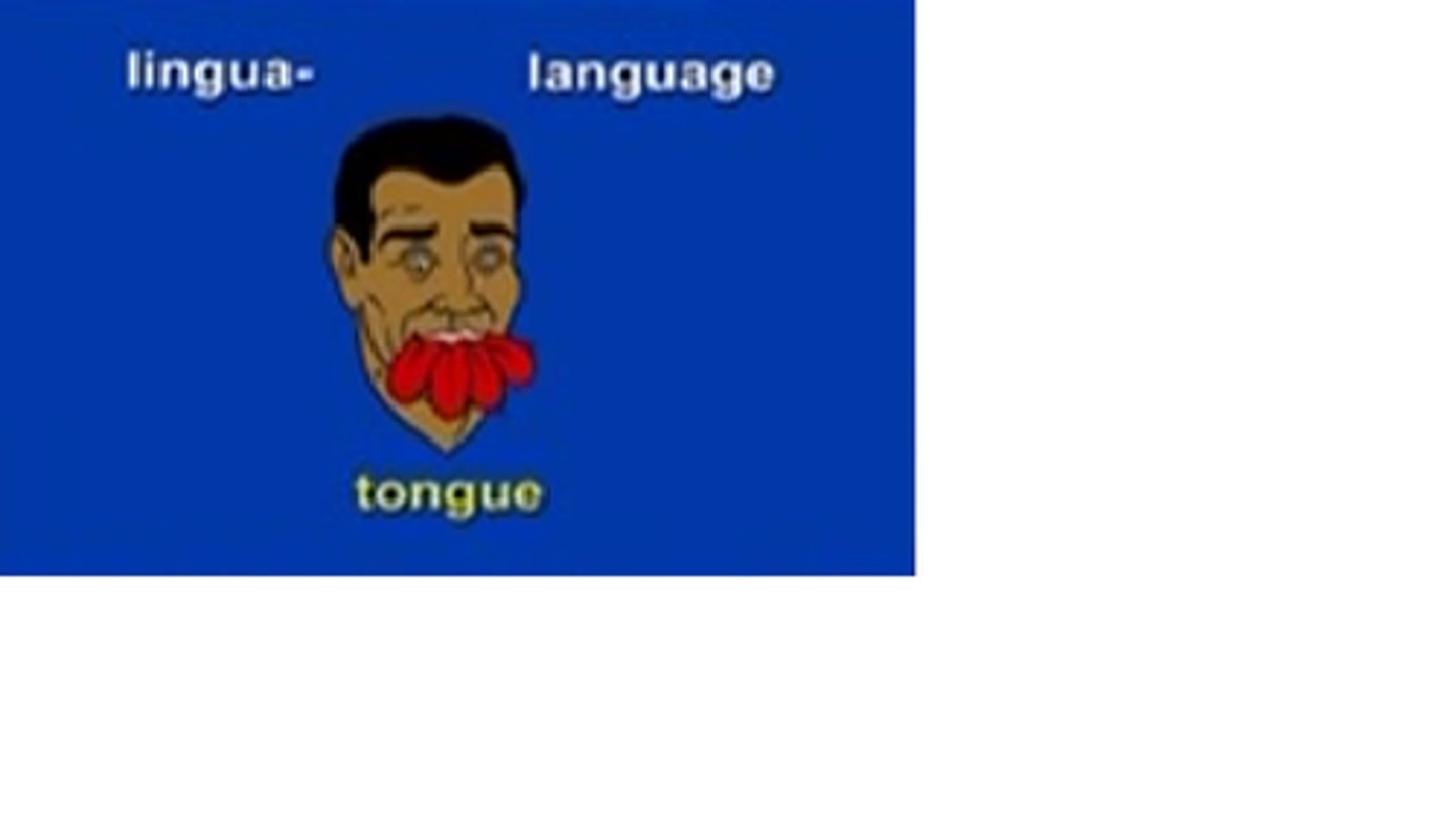 <p>tongue</p>