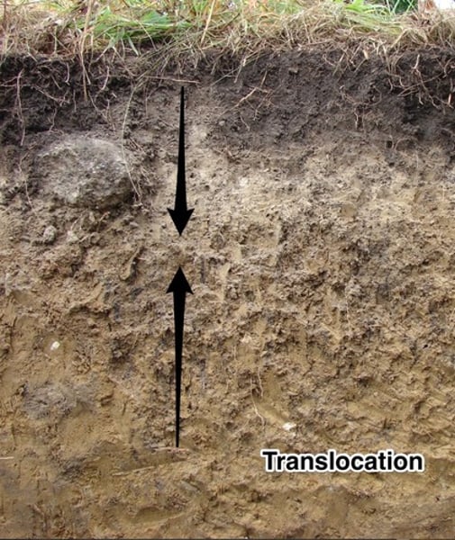 <p>The movement of soil particles within and between horizons by water. Water goes upward when precipitation (P) &lt; evaporation (E). Water goes downward when P &gt; E.</p>