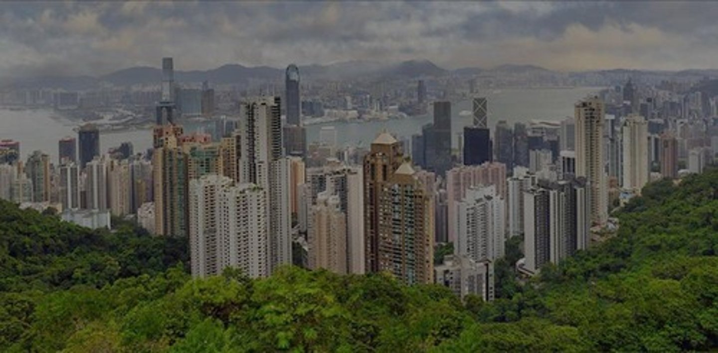 <p>Streets, squares, street furniture, parks, waterways, main buildings, soft landscape features, sculptures, and fountains.</p>