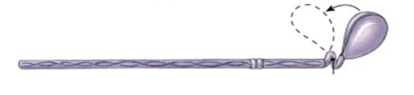 knowt flashcard image