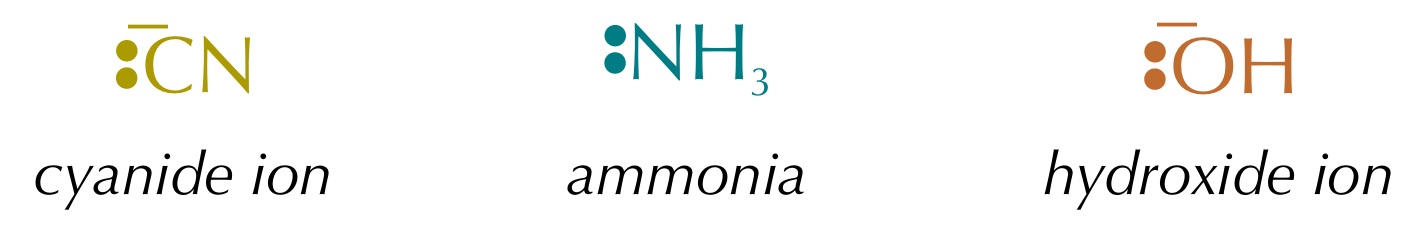 <p>A species that forms a bond with an electrophile by donating a pair of electrons</p>