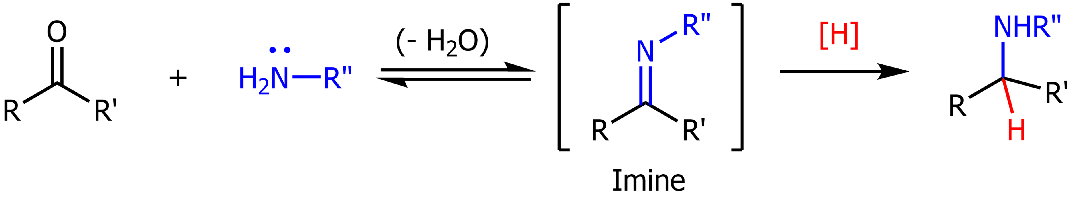 <p>Ketone or aldehyde is converted into an imine, then into an amine using a primary amine, dehydration and water. </p>
