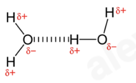 <p>an unequal distribution of charges in a covalent bond is called a dipole</p><ul><li><p>molecules which have groups with dipoles are polar</p></li><li><p>in water, oxygen atoms get more electrons due to them being more electronegative and therefore get a small negative charge denoted by delta (<strong>𝛅</strong>-)</p></li><li><p>hydrogen atoms get less electrons and therefore get small positive charges (<strong>𝛅</strong>+)</p></li><li><p>negatively charged oxygen of one molecule is attracted to a positively charged hydrogen of another, this attraction is called a hydrogen bond</p></li></ul><p></p>