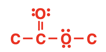 <p>Identify the functional group</p>