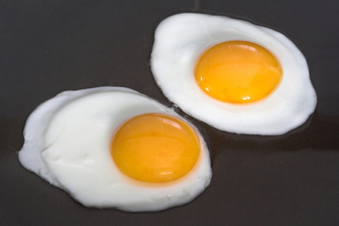 <p>The white of an egg</p>