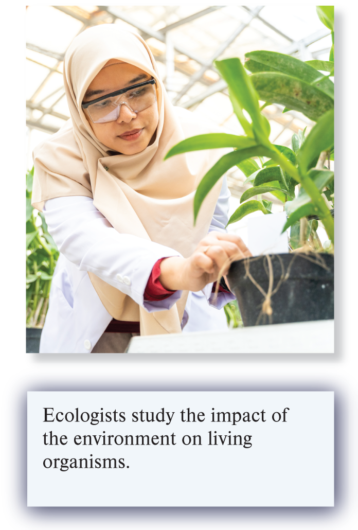 <ul><li><p>Population, community, and ecosystem levels </p></li><li><p>Ecologists study the impact of the environment on living organisms </p></li></ul>