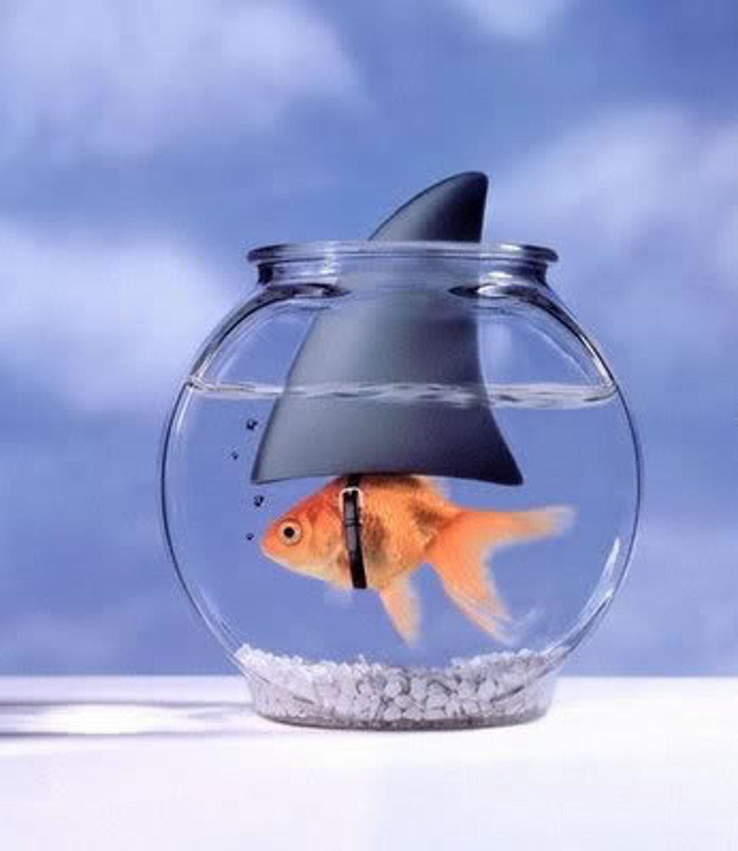 <p>persistent false beliefs</p>