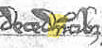 term image