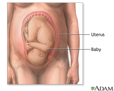 <p>Cephalic presentation</p>