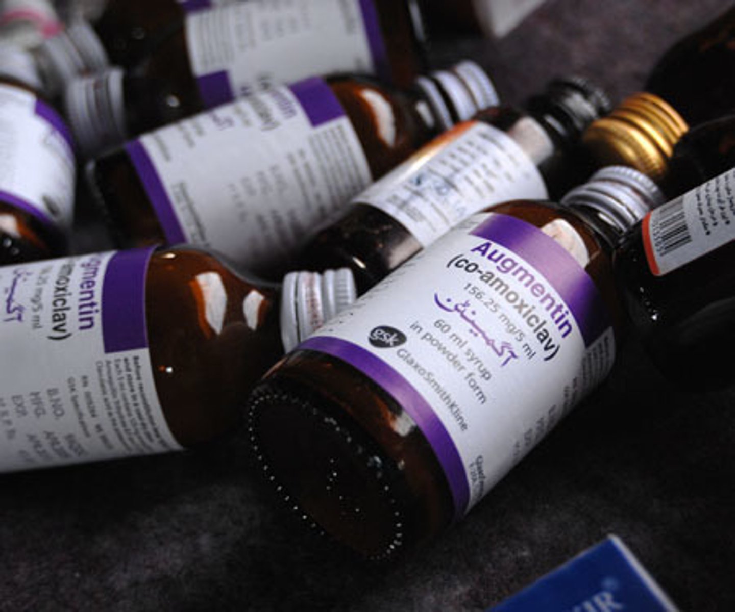 <p>Penicillin</p>