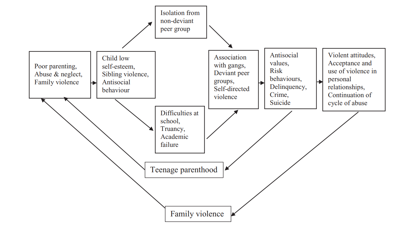 The developmental progression from childhood maltreatment to anti-social and violent behaviour. 