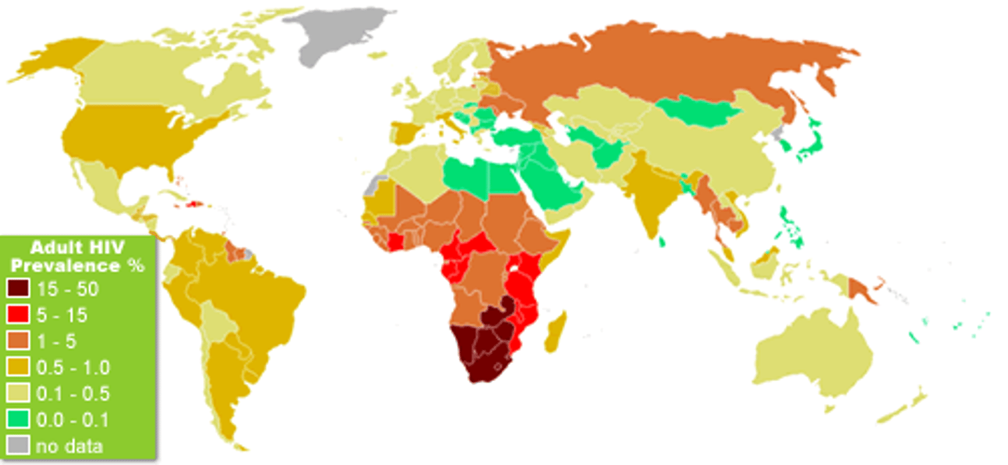 <p>sự phổ biến, thịnh hành</p>