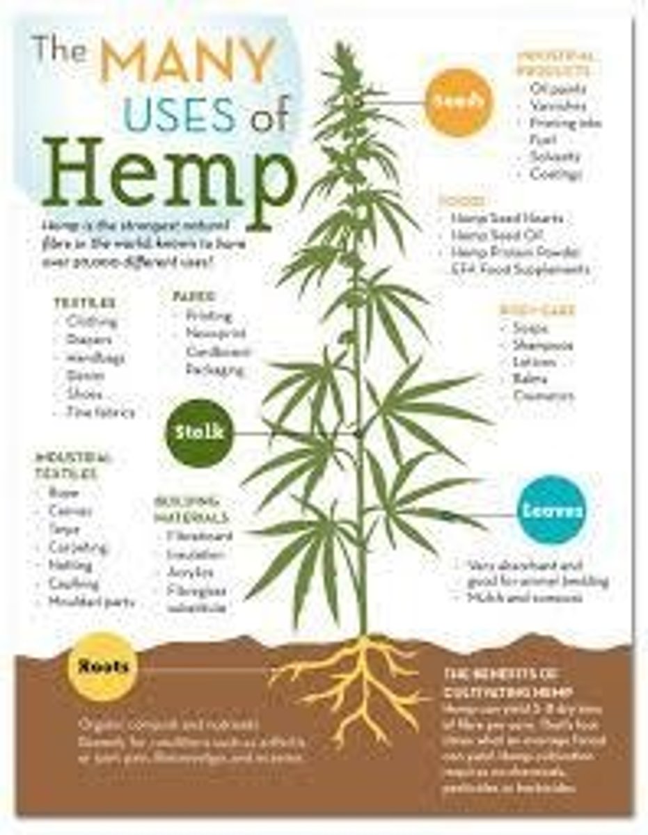<p>Hemp was used for making sails, ropes, and the first Bible was printed on hemp.</p>