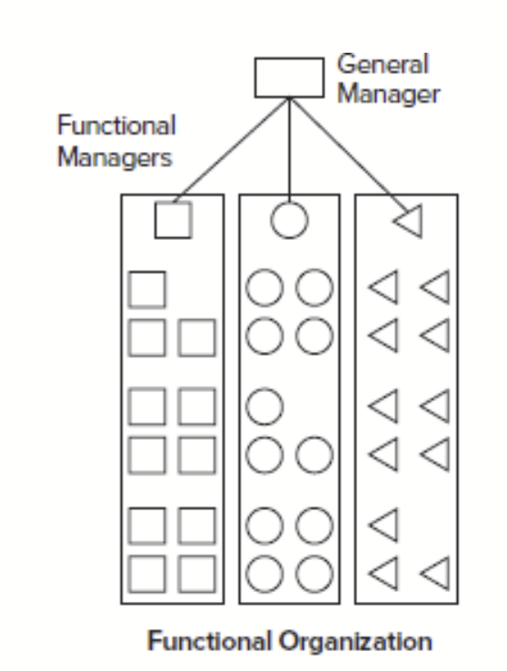 <p>Organizational links are primarily among those who perform similar functions. </p>