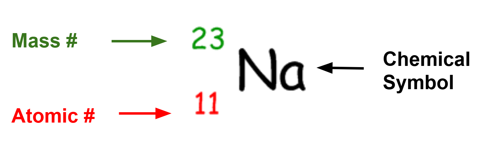 <p>Mass is at the top left corner, Chemical symbol in the middle and atomic number in the bottom left corner</p>