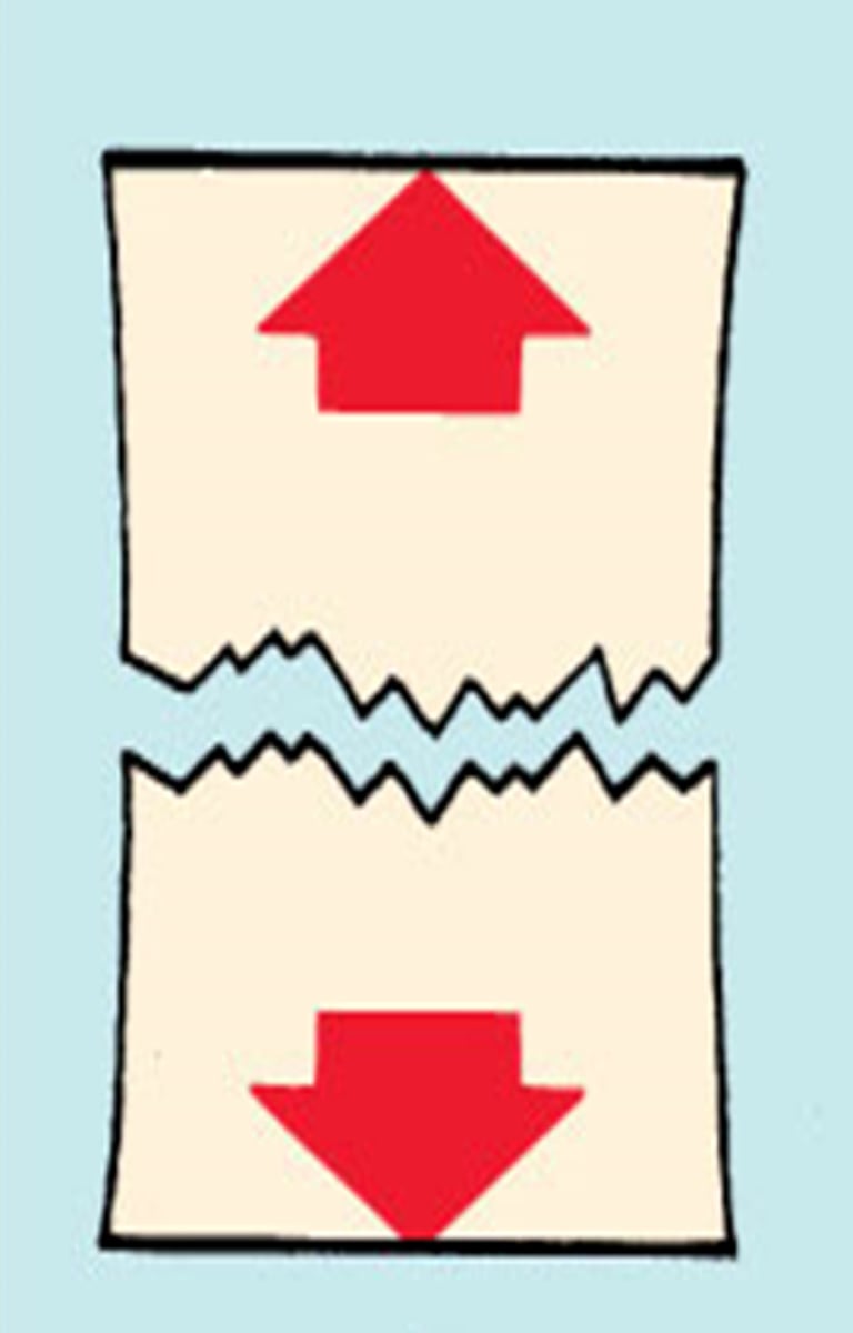 <p></p>
