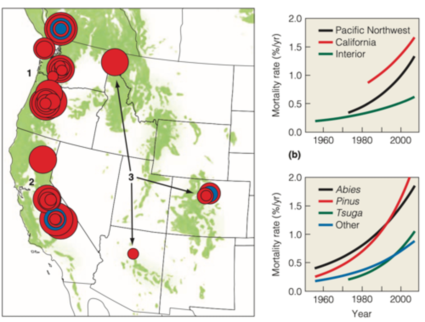 <p>The analysis of tree rings has shown an increase in the length of the growing season (defined by the dates of the first and last frost of the year)</p><p>-----------------</p><p>WESTERN NORTH A.</p><p>- increasing water deficits associated with warming have led to an increase in tree mortality</p>