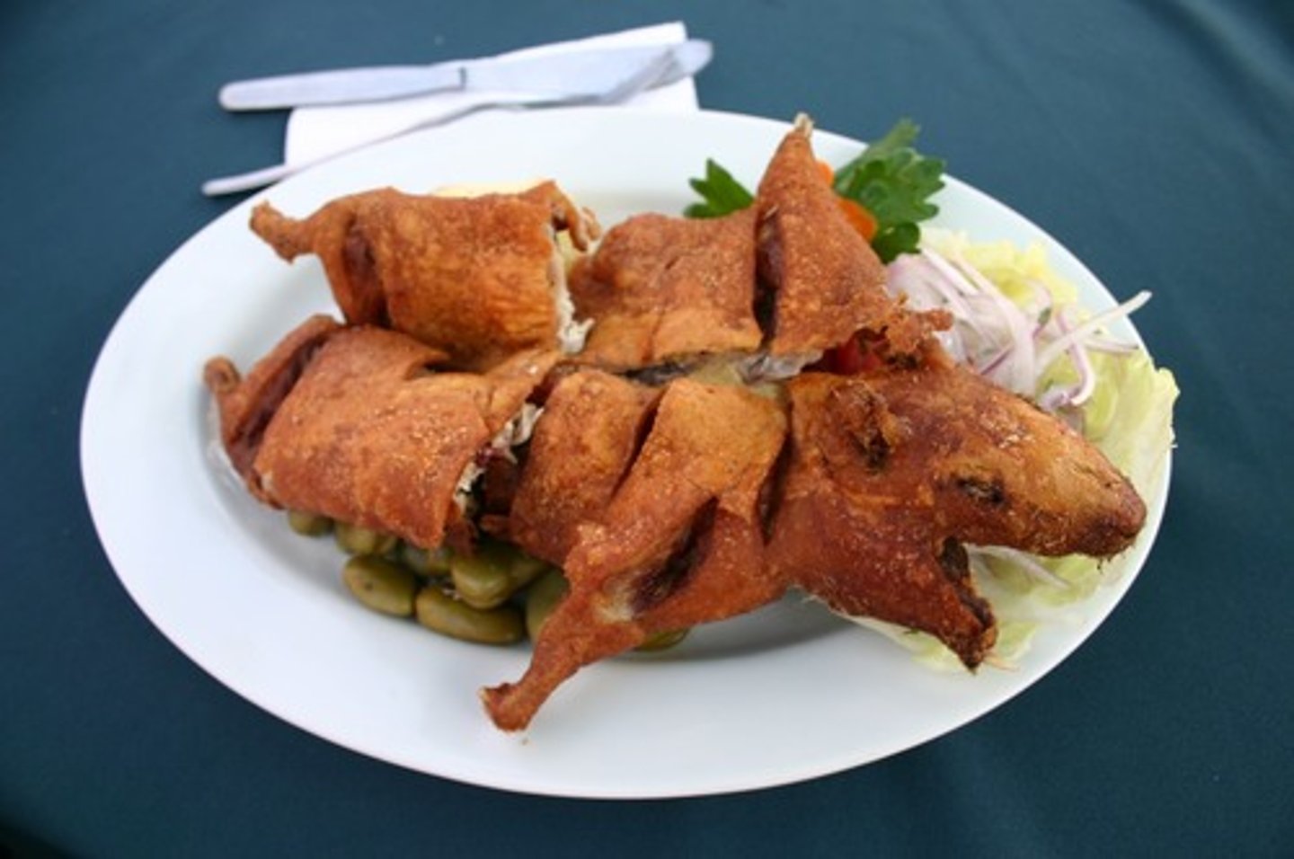 <p>guinea pig</p>