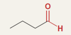 <p>functional name </p>