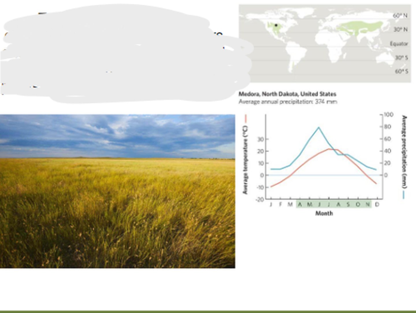<p>characterized by hot, dry summers and cold, harsh winters. Dominated by grasses, nonwoody flowering plants, and drought-adapted shrubs</p>