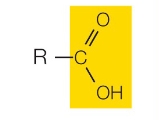 <p>What functional group is this?</p>