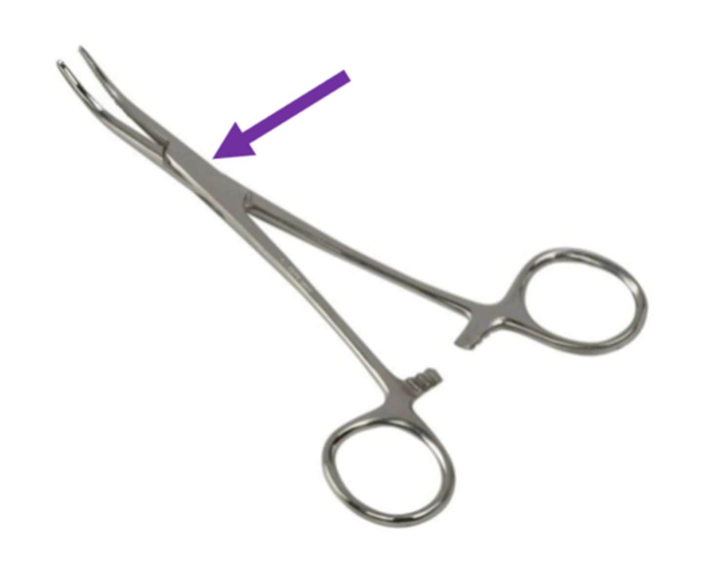 <p>the point where the two jaws or blades of an instrument connect & pivot (turn)</p>