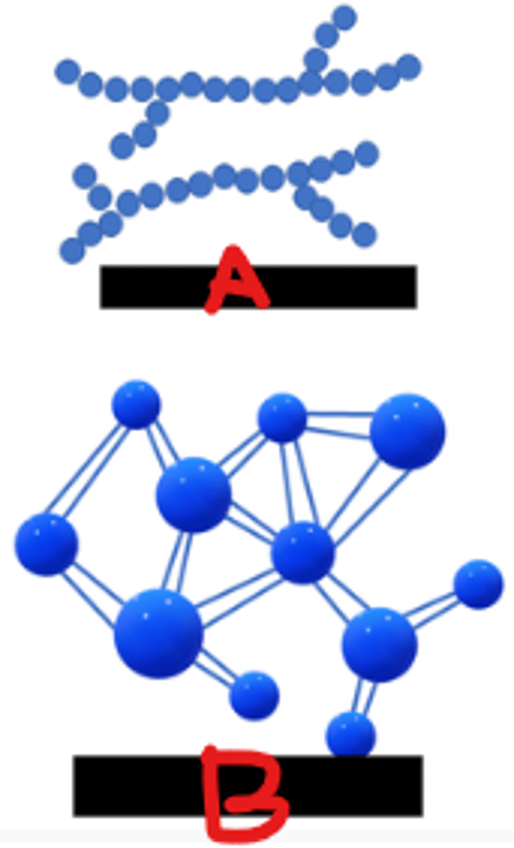 <p>What type of polymers are shown?</p>