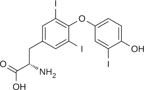 <p>triiodothyronine T3 </p>