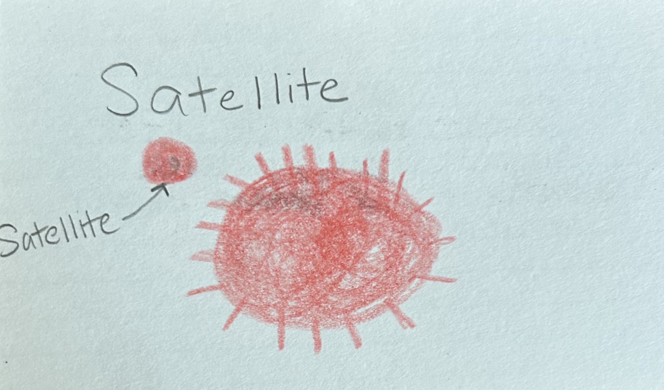 <p>Smaller droplet of blood projected from a larger drops of blood upon impact with a surface</p>
