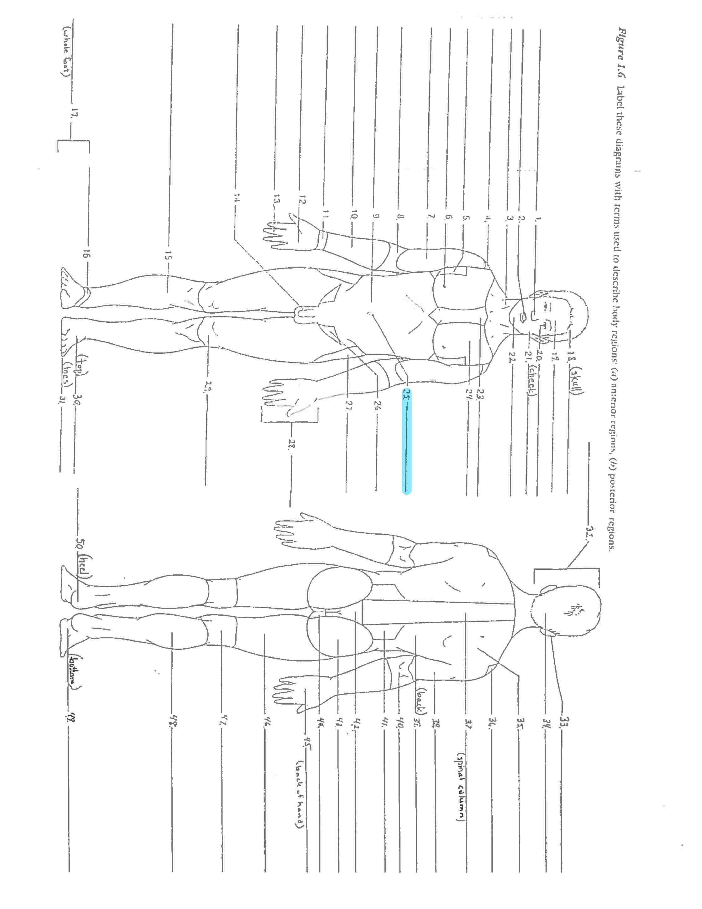 <p>Line 25 </p>