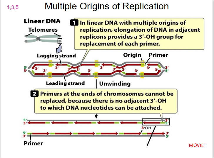 <p>SLIDE 16</p>