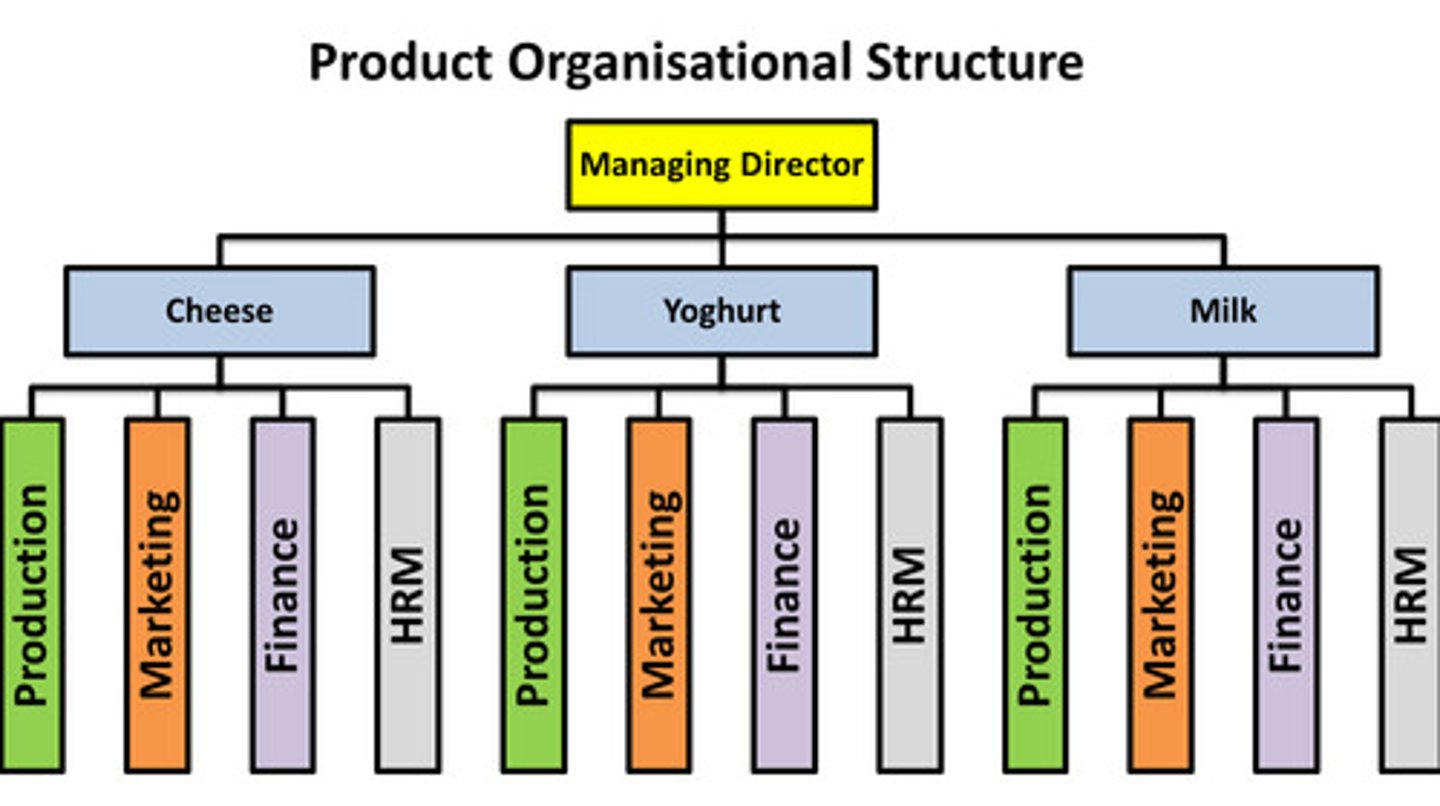 <p>High promotional cost,</p><p>Risks is not spread too reliant on one market segments -> decrease in sales,</p><p>High cost of market research,</p><p>Product development cost ❌</p>