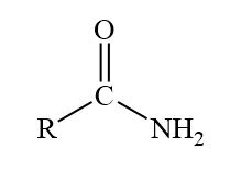 * O double bonded to C with NH branch 
* amide 