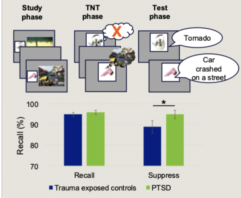 <ul><li><p>PTSD patients showed worse memory suppression, indicated by better memory for suppressed items</p></li><li><p>memory suppression ability correlated with thought control ability and PTSD symptoms</p></li><li><p>didn’t seem to show ability to memory suppress</p></li></ul><p></p>