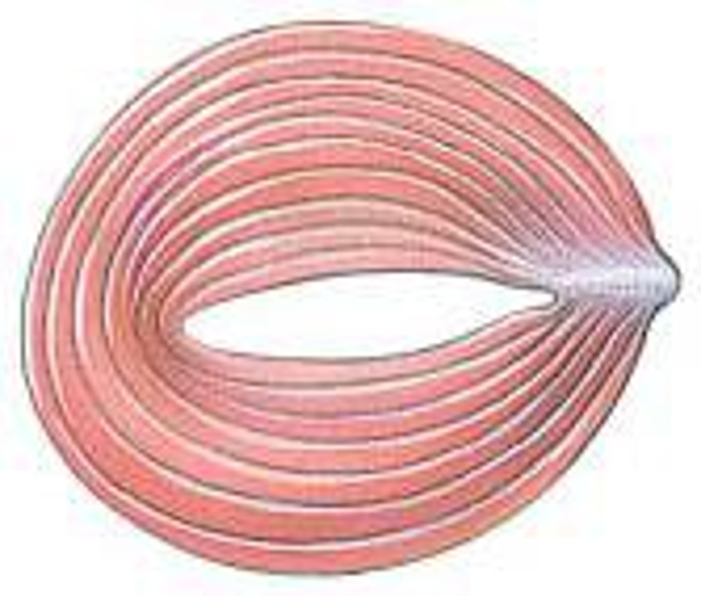 <p>- fascicles arranged as a ring</p><p>- sphincter muscles</p>