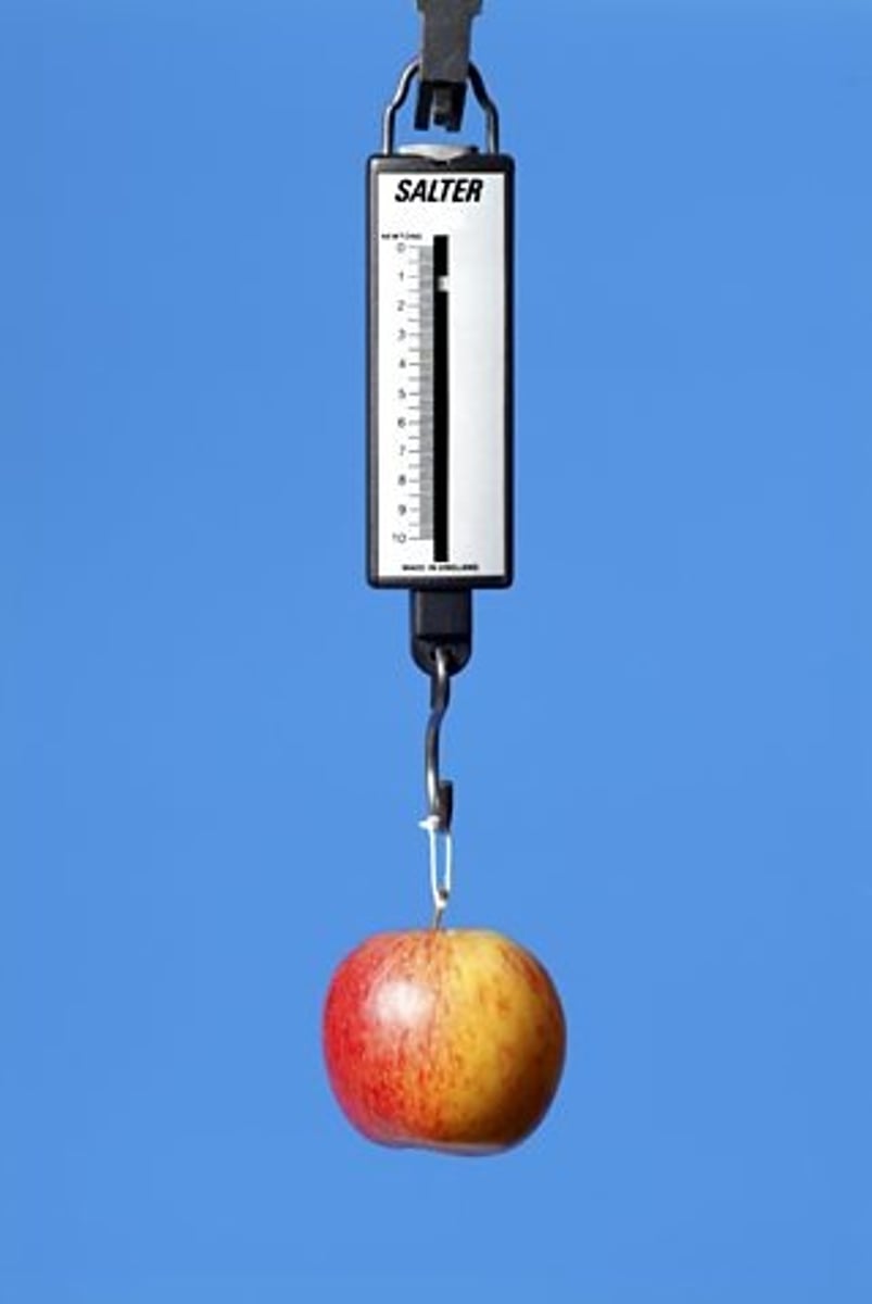<p>A calibrated spring-balance (a newtonmeter).</p>
