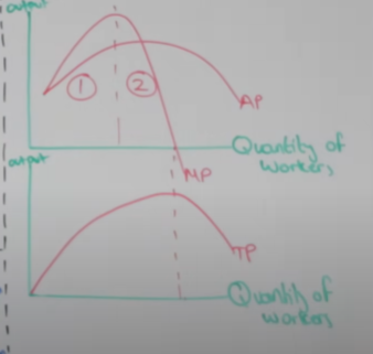 <ul><li><p>effects firms in the short run</p></li><li><p>when variable factors of production are added to a stock of fixed factors of production, total / marginal product will initially rise then fall</p></li><li><p>stage 1 - increasing returns to labour - marginal product is rising</p><ul><li><p>why, labour productivity is rising</p></li><li><p>specialisation</p></li><li><p>under utilisation of fixed FOP</p></li></ul></li><li><p>stage 2 - law of diminishing marginal returns sets in - marginal product falls</p><ul><li><p>why, labour productivity decreases</p></li><li><p>fixed FOP become a constraint on production</p><ul><li><p>not enough FOP</p></li></ul></li></ul></li><li><p>TP is maximised when marginal product is 0</p></li></ul><p></p>