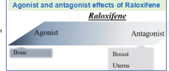 <p>SERMs work by mimicking the effects of _________ (hormone) on __________, without stimulating the ______ or ______</p>