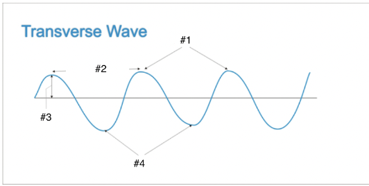 <ol start="5"><li><p>label the parts of a transverse wave</p></li></ol>