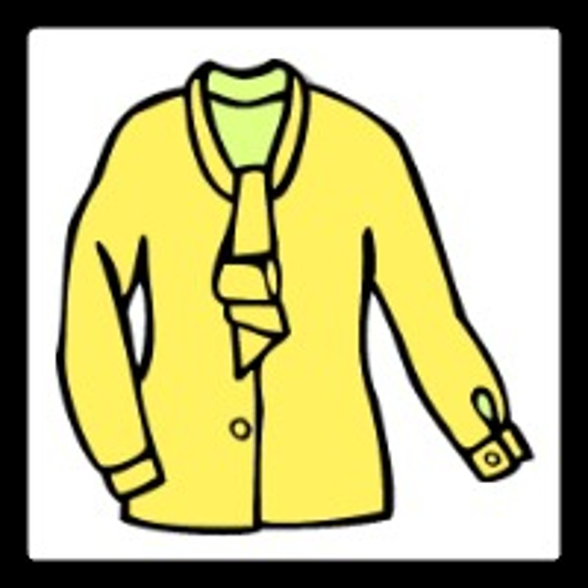 <p>blouse</p>