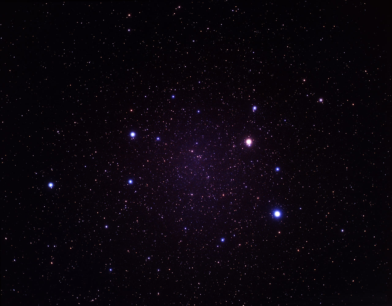 <p>What constellation is this?</p>