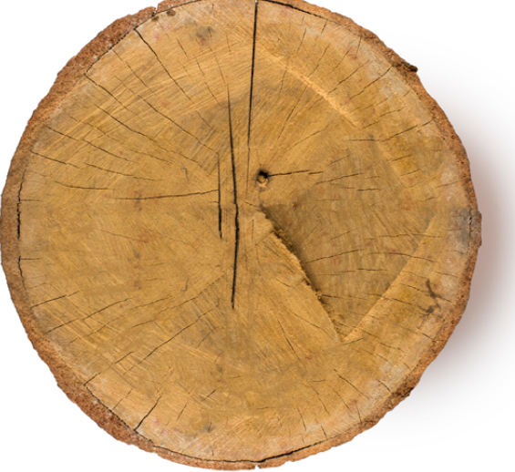 <ul><li><p>A bright, citrus-herb mix</p></li></ul><ul><li><p><strong>Lemon oil</strong>: naturally uplifting and refreshing</p></li><li><p><strong>Rosewood oil</strong>: warm &amp; soothing woody scent (Antimicrobial and Balancing, from Peru and Brazil)</p></li></ul><p></p>