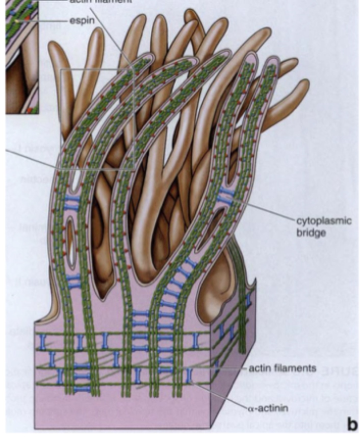 <p>5-15 qm (op til 120 qm)</p><p>100 nm</p>