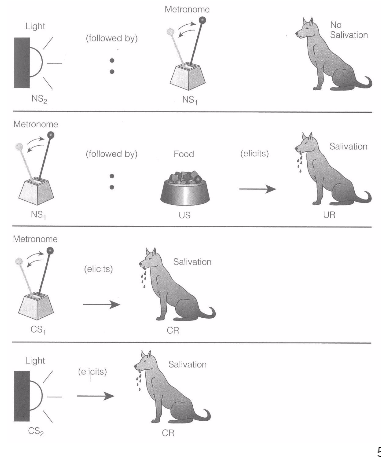 pairing the two NS together before classical conditioning. this then results in both being conditioned at the end.