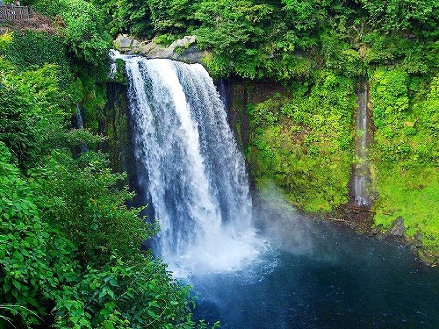 <p>[LƯU]</p><p>(が-ながれる ) chảy qua, trôi qua, lan ra</p><p>流す</p><p>(を-ながす ) cho chảy ra, đổ ra</p>