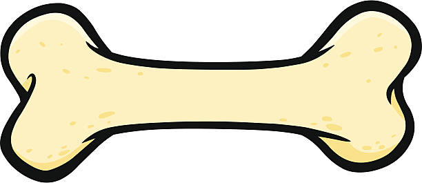 <p>Cinacalcet</p>