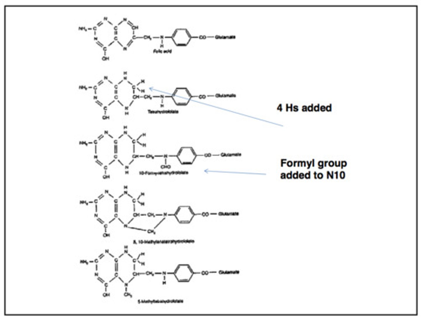 <p>many different forms</p>