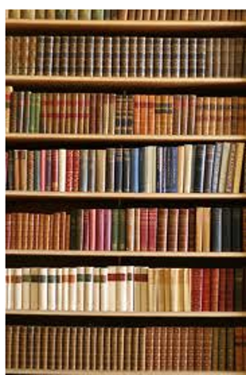 <p>shelving, bookcase</p>