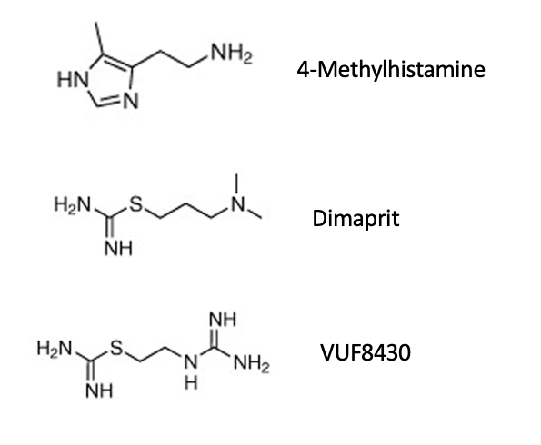 <ul><li><p>4-methylhistamine</p></li><li><p>dimaprit</p></li><li><p>VUF8430</p></li><li><p>agonists = <u>pro</u>-inflammatory; can<u> induce</u> pruritis in mice</p></li></ul><p></p>