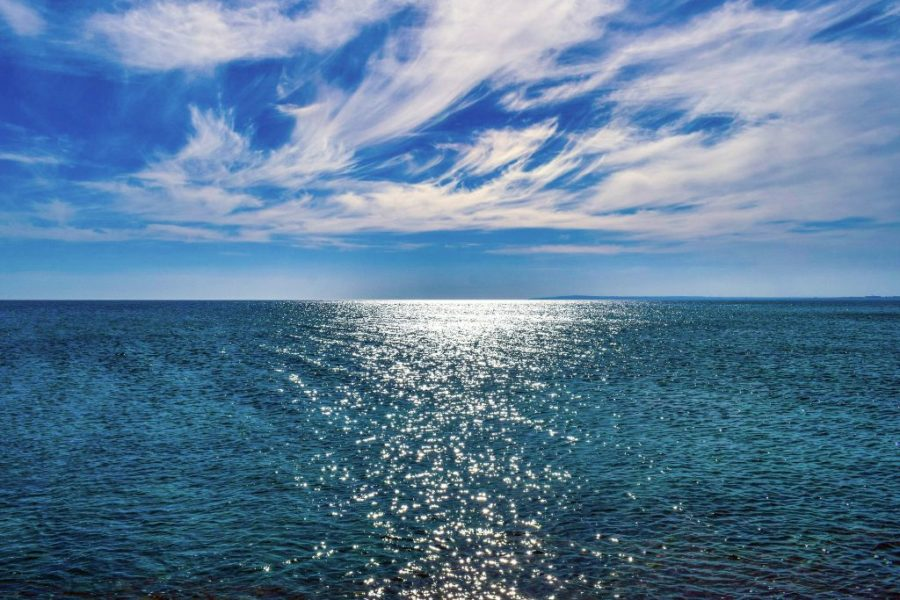 <p>How did they trade ?</p>